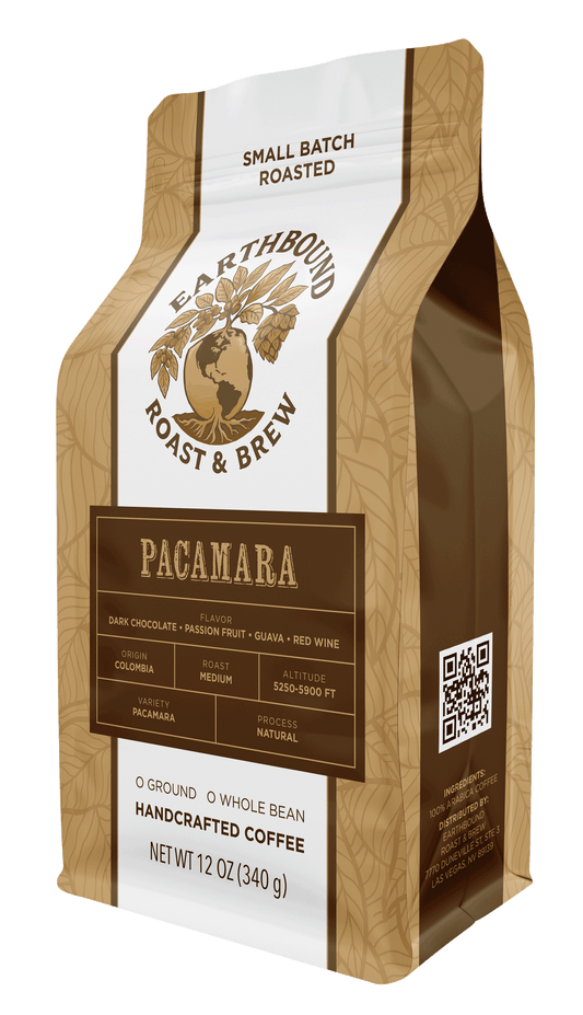 Pacamara